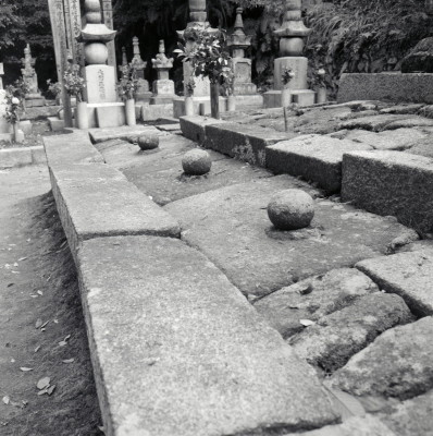 knd_07652(京都府京都市伏見区醍醐東大路町)