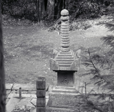 knd_07658(京都府京都市伏見区醍醐東大路町)
