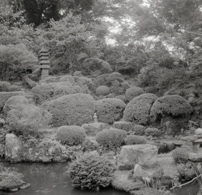 knd_07988(京都府京都市左京区大原勝林院町)