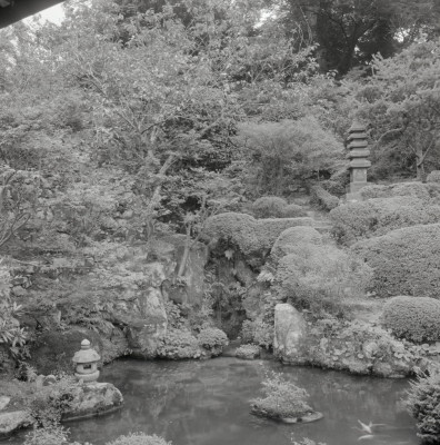 knd_07989(京都府京都市左京区大原勝林院町)