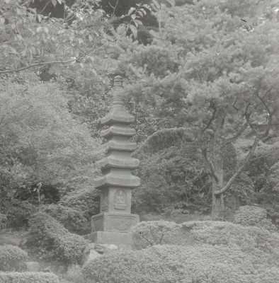 knd_08003(京都府京都市左京区大原勝林院町)