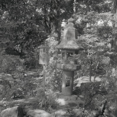 knd_08049(京都府京都市右京区嵯峨大沢町)