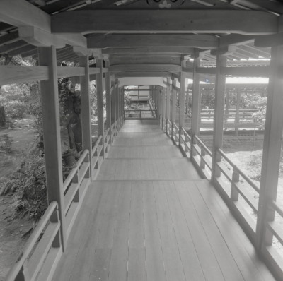 knd_08051(京都府京都市右京区嵯峨大沢町)