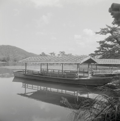 knd_08069(京都府京都市右京区嵯峨大沢町)