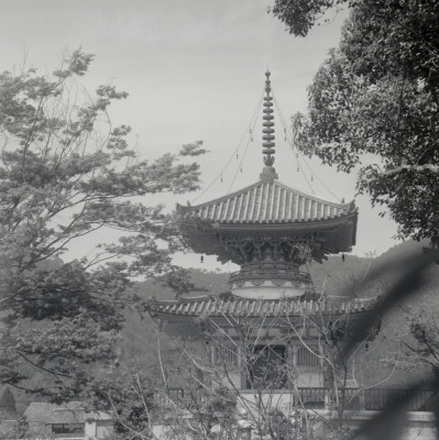 knd_08076(京都府京都市右京区嵯峨大沢町)