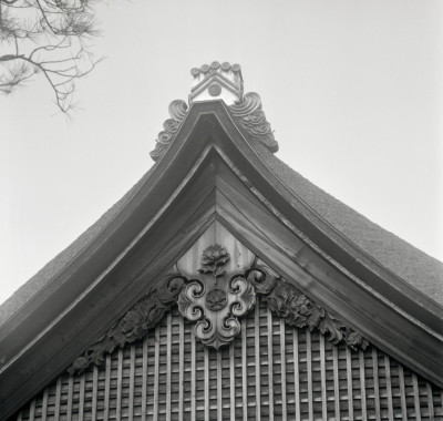 knd_08081(京都府京都市右京区嵯峨大沢町)