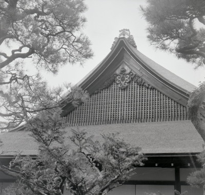 knd_08084(京都府京都市右京区嵯峨大沢町)