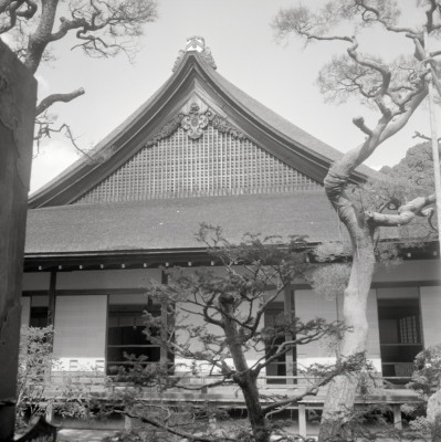 knd_08086(京都府京都市右京区嵯峨大沢町)
