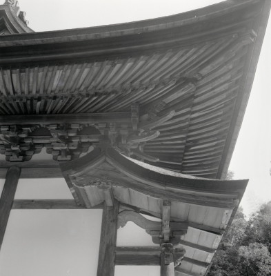knd_08139(京都府京田辺市薪里ノ内１０２)