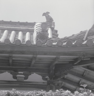 knd_08167(京都府京田辺市薪里ノ内１０２)