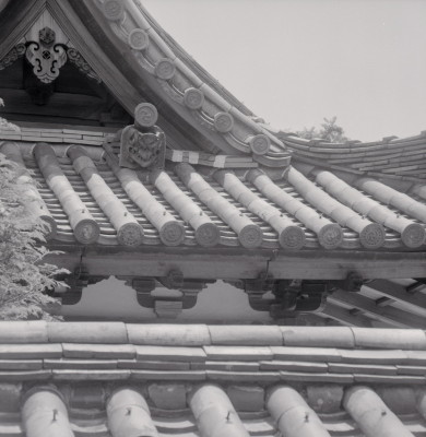 knd_08169(京都府京田辺市薪里ノ内１０２)