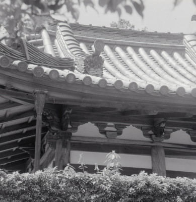 knd_08170(京都府京田辺市薪里ノ内１０２)