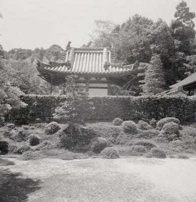 knd_08171(京都府京田辺市薪里ノ内１０２)