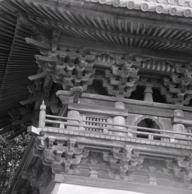 knd_08177(京都府京田辺市薪里ノ内１０２)