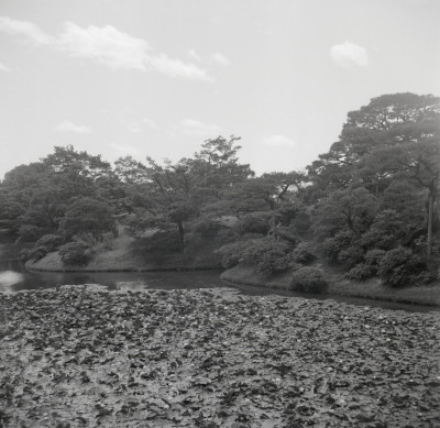 knd_08273(京都府京都市左京区修学院林ノ脇３０)