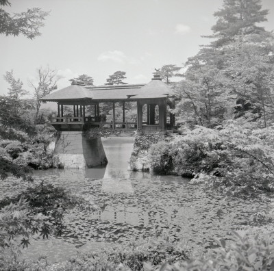 knd_08319(京都府京都市左京区修学院林ノ脇３０)