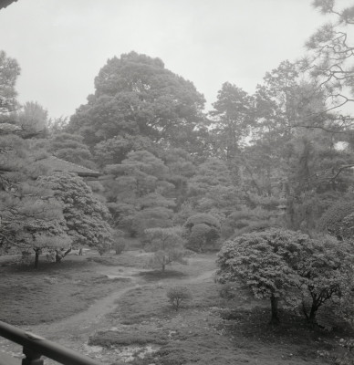 knd_08390(京都府京都市左京区聖護院中町１５)