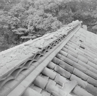 knd_08440(京都府京都市上京区相国寺門前町７０１)