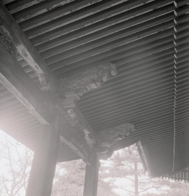 knd_08751(京都府京都市左京区永観堂町)