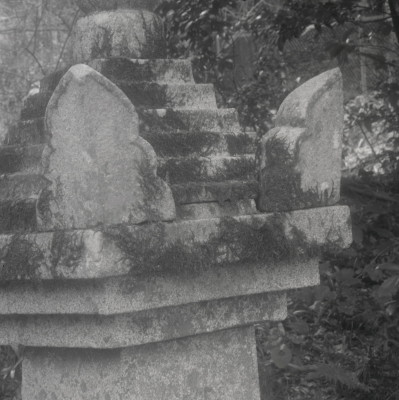knd_08788(京都府京都市左京区大原勝林院町)