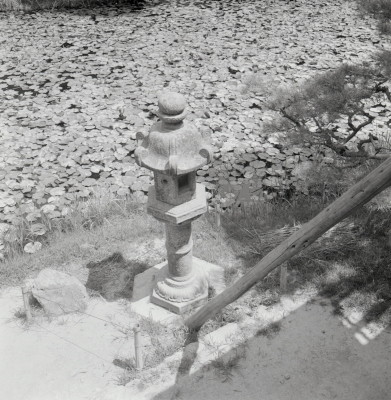 knd_08852(京都府木津川市加茂町西小札場４０)