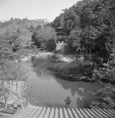 knd_08857(京都府木津川市加茂町西小札場４０)