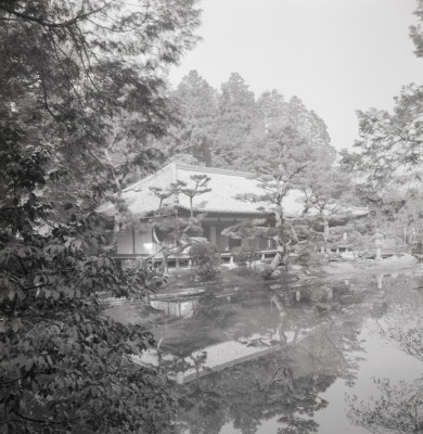 knd_08874(京都府木津川市加茂町西小札場４０)