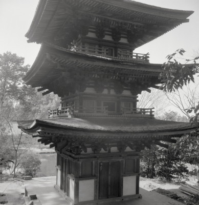 knd_08907(京都府木津川市加茂町西小札場４０)