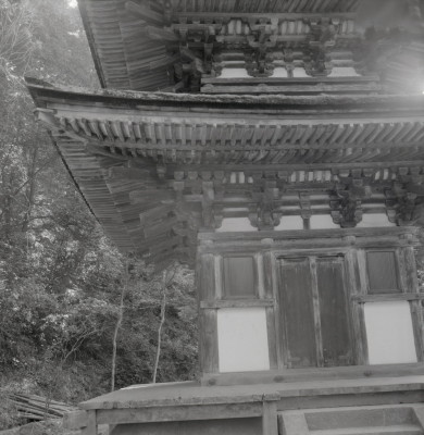 knd_08914(京都府木津川市加茂町西小札場４０)