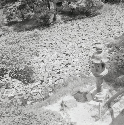 knd_08977(京都府木津川市加茂町西小札場４０)