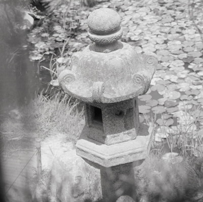 knd_08979(京都府木津川市加茂町西小札場４０)