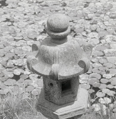 knd_08982(京都府木津川市加茂町西小札場４０)
