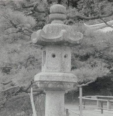 knd_08987(京都府木津川市加茂町西小札場４０)