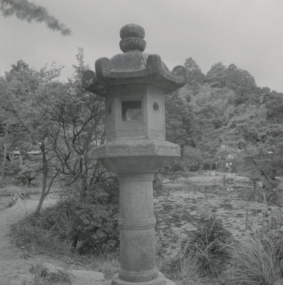 knd_08991(京都府木津川市加茂町西小札場４０)