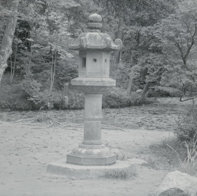 knd_08993(京都府木津川市加茂町西小札場４０)