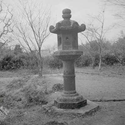 knd_08995(京都府木津川市加茂町西小札場４０)