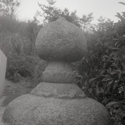 knd_08998(京都府京都市右京区梅ケ畑高雄町５)