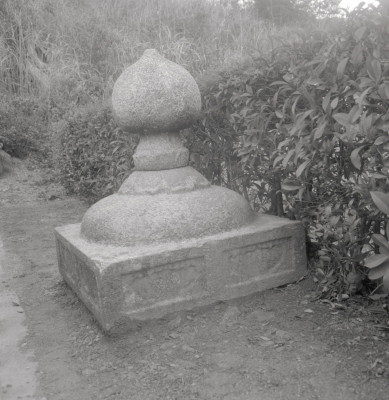 knd_09000(京都府京都市右京区梅ケ畑高雄町５)