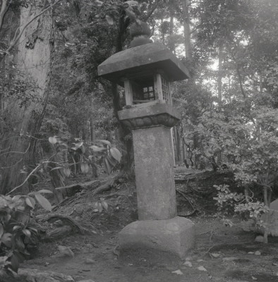 knd_09022(京都府京都市右京区梅ケ畑高雄町５)