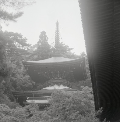 knd_09045(京都府京都市右京区梅ケ畑高雄町５)