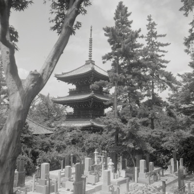 knd_09074(京都府京都市左京区浄土寺真如町)