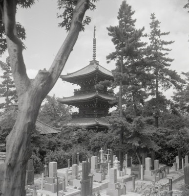 knd_09075(京都府京都市左京区浄土寺真如町)