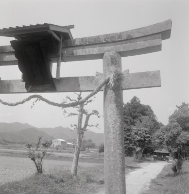 knd_09297(京都府南丹市八木町西田４９)