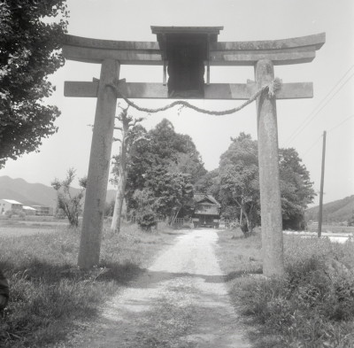 knd_09298(京都府南丹市八木町西田４９)