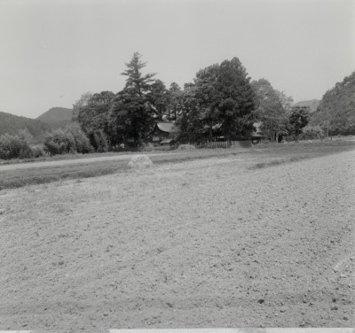 knd_09299(京都府南丹市八木町西田４９)