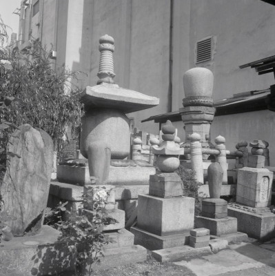 knd_09344(京都府京都市中京区桜之町４５３)