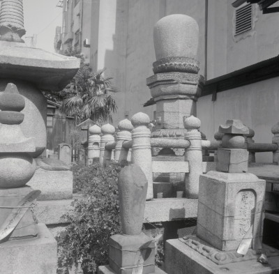 knd_09345(京都府京都市中京区桜之町４５３)