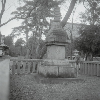 knd_09358(京都府京都市右京区嵯峨釈迦堂藤ノ木町)