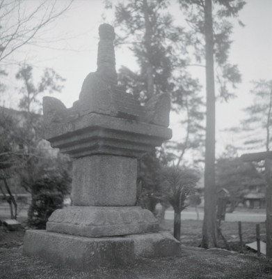knd_09361(京都府京都市右京区嵯峨釈迦堂藤ノ木町)