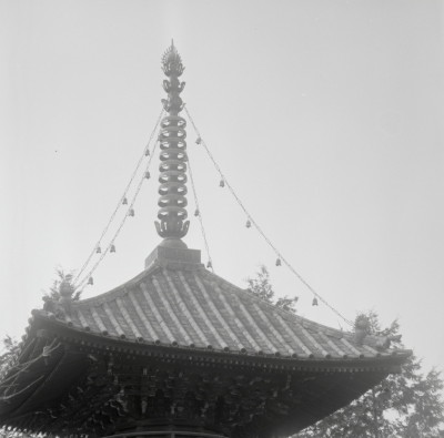 knd_09368(京都府京都市右京区嵯峨釈迦堂藤ノ木町)